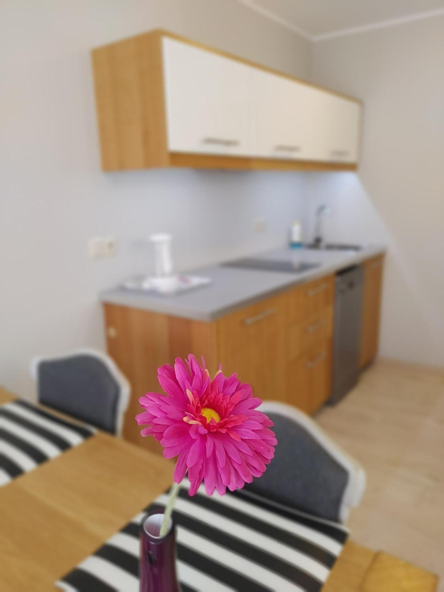 Aparthotel Luna&Sol Jastrzębia Góra エクステリア 写真
